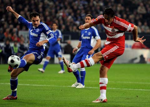 合在德甲积 合在德甲积